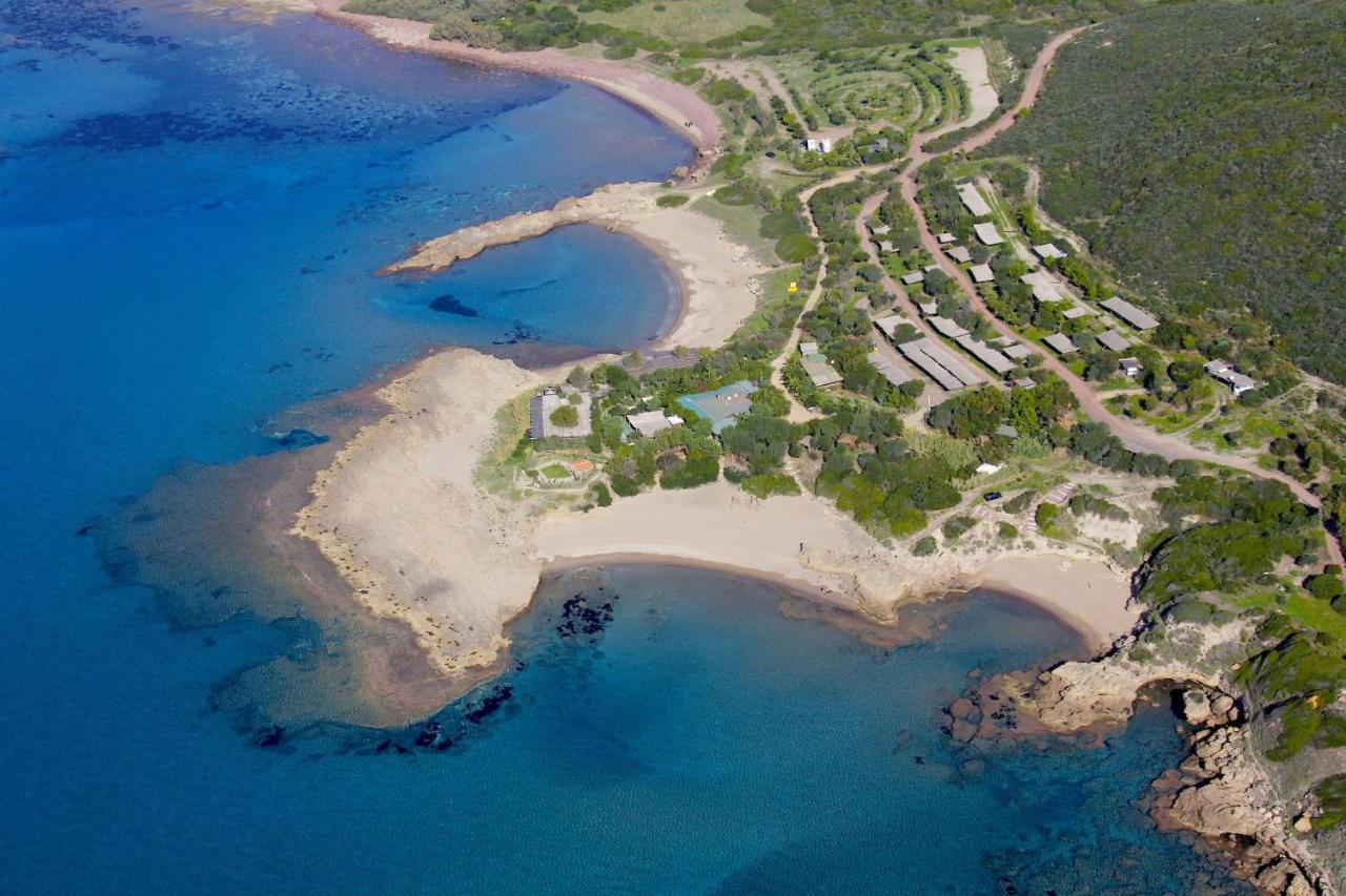فيلا Casa Vacanze Nonna Nunzia بوسا المظهر الخارجي الصورة
